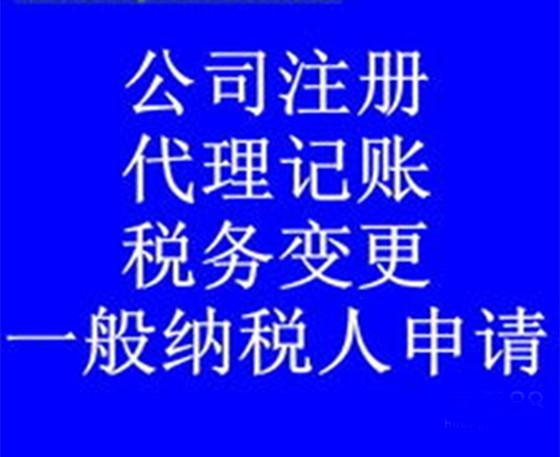 公司服务财税服务提供代理记账，税务咨询解异常