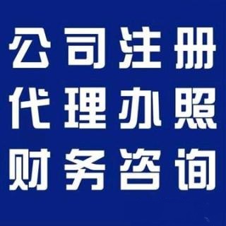 注册公司财税咨询审计报告所得税汇算清缴报告