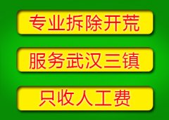 【武汉三镇家装拆除电话】家装拆除工装商铺厂房医院拆除开荒