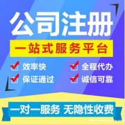 转让国字头国家局核名公司