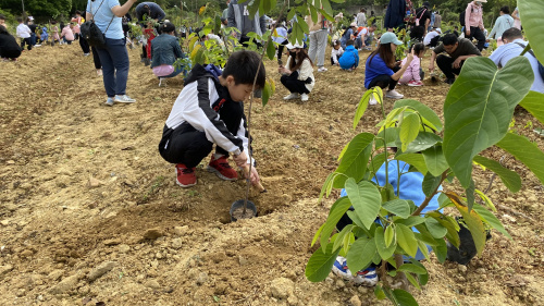 惠州亲子春游踏青植树去哪好