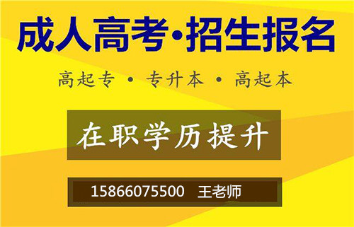 济宁成人高考火热报名中_学历用处