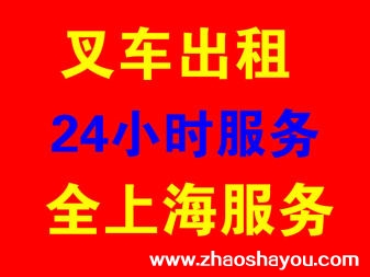 上海浦东新区川沙新镇叉车出租吊车出租