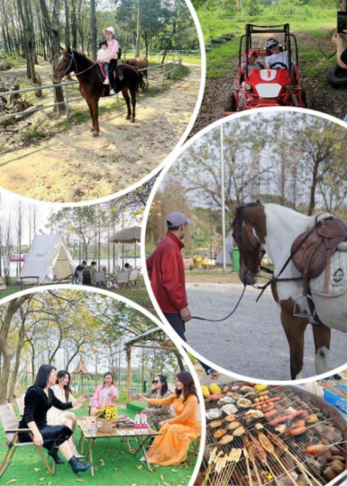 佛山西南亲子骑马团建，亲子共享自然乐趣